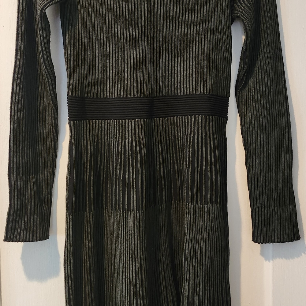 Tahari Long Sleeve Dress in Olive and Black